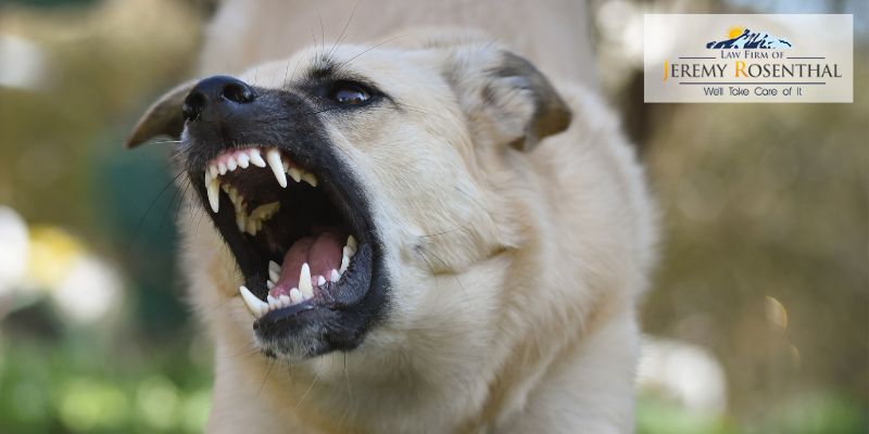 Denver Dog Bite Attorney Free Consultation