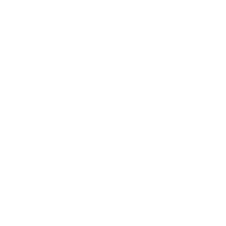 2. Seek Medical Evaluation (Within 24 Hours):