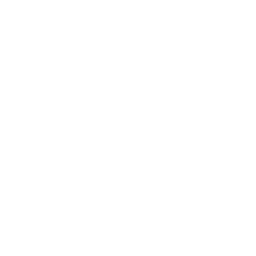 6. Right to File Lawsuits: