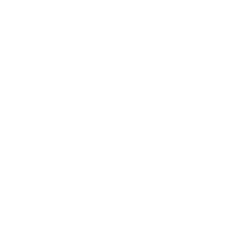 5. Report to Insurance (Within 24-48 Hours):