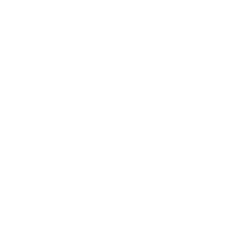 4. Economic Impact Evaluation: