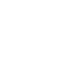 3. Assess Trial Experience and Courtroom Record: