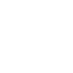 4. Consider Permanent Impairment Evidence: