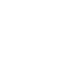 5. Review Statute of Limitations Deadlines: