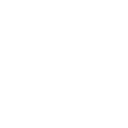 4. Collect Driver and Witness Information: