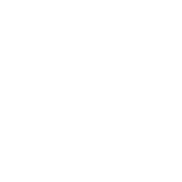 7. Report the Accident to Insurance: