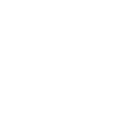 2. Review Case Results and Settlement History: