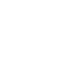 1. Police Accident Reports: 