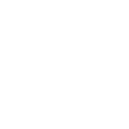 3. Evaluate Insurance Adjuster Tactics: