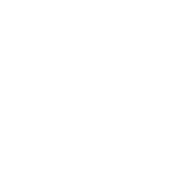 4. Document Everything (At Scene and After):