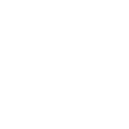 1. Investigate Accident Circumstances: