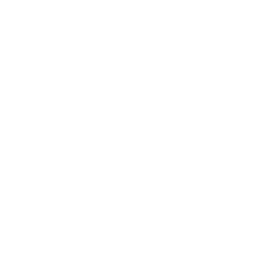 2. Report the Attack to Denver Animal Protection: