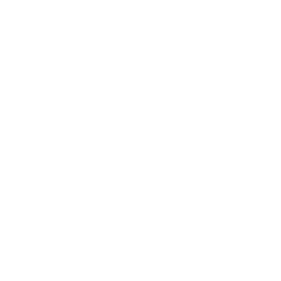 8. Represent Clients at Trial: